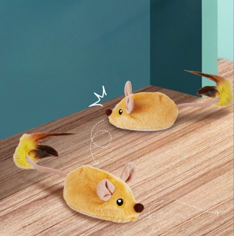 https://fulmo-img-server.com/party-cat/1787625037322_7o3zfvwe_ibnnshxs.jpeg