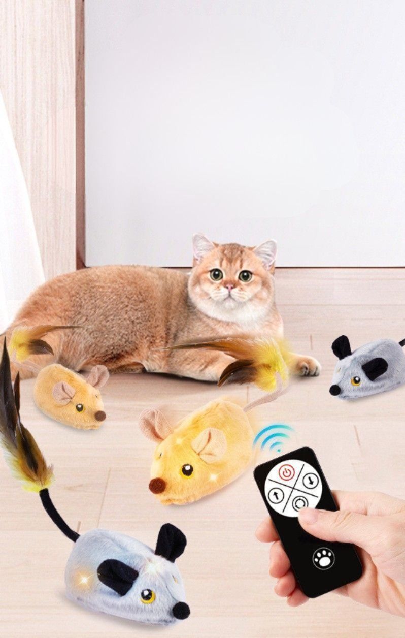 https://fulmo-img-server.com/party-cat/1787625060600_o50gzxob_w2mishin.jpeg