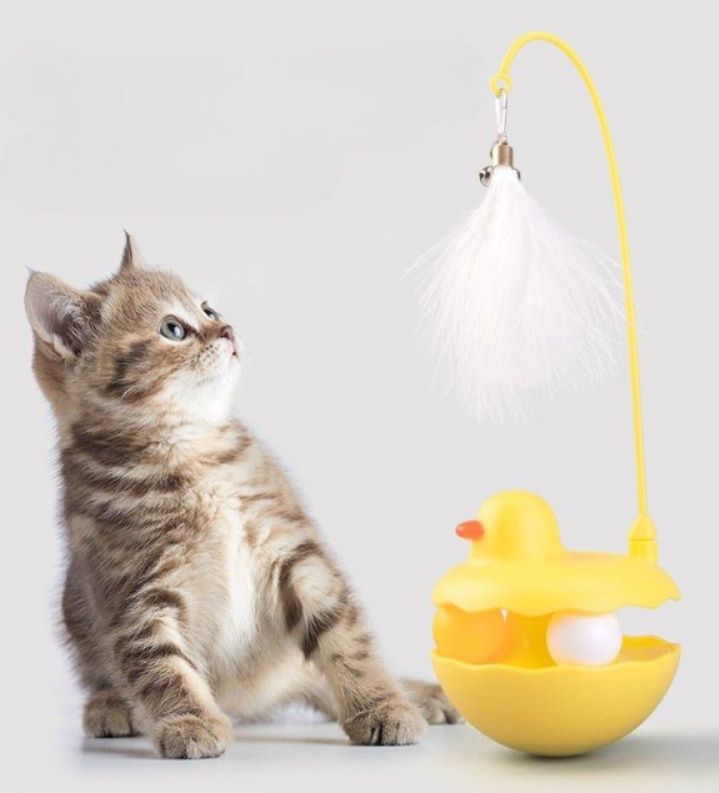 https://fulmo-img-server.com/party-cat/1787625973232_ydm21d03_m2m0gtb0.jpeg
