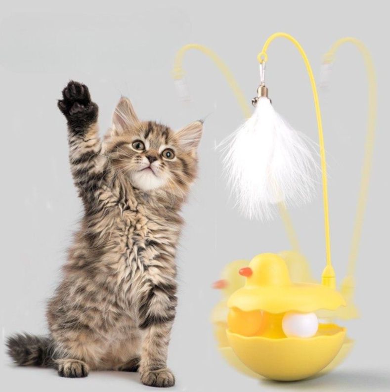 https://fulmo-img-server.com/party-cat/1787625998974_0x00vm8q_im7bltsd.jpeg