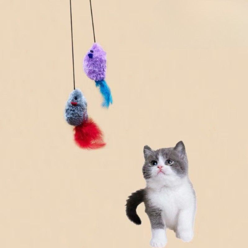 https://fulmo-img-server.com/party-cat/1787630657656_7ar3jgz8_mif9n0t2.jpeg