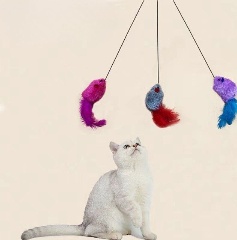https://fulmo-img-server.com/party-cat/1787630801351_vgat0gmf_ntyj514i.jpeg
