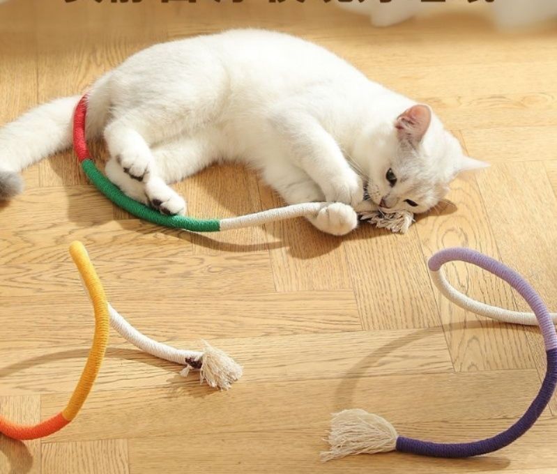 https://fulmo-img-server.com/party-cat/1787632725885_xqe6lsb5_m0aygm69.jpeg