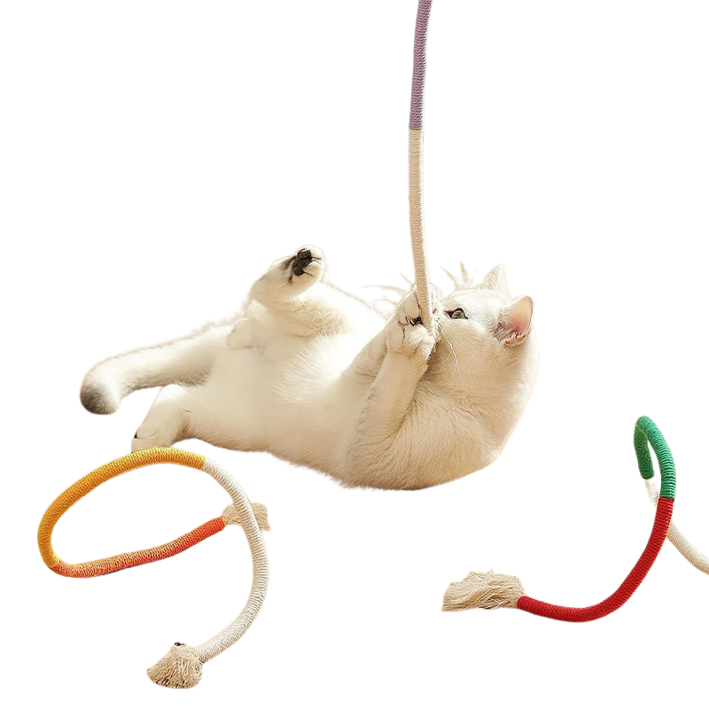 https://fulmo-img-server.com/party-cat/1787633127763_d82nppf5_dax4ics2.png