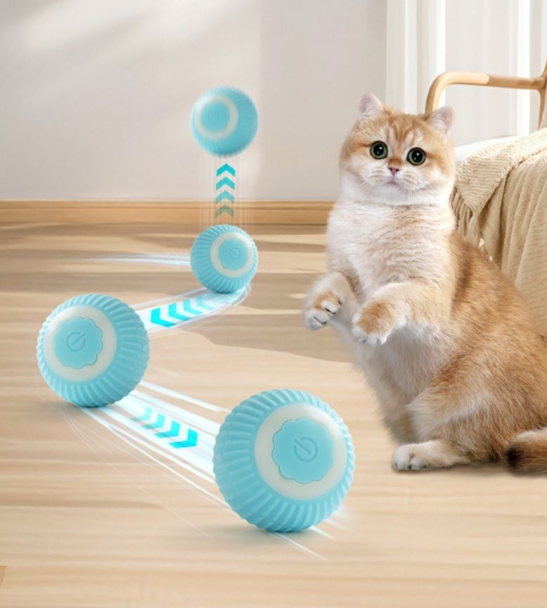 https://fulmo-img-server.com/party-cat/1787709166697_we32mz1q_a0vq73ox.jpeg