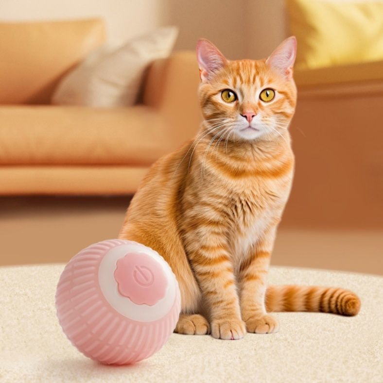 https://fulmo-img-server.com/party-cat/1787709239259_n5xzuj5n_0vbbosjd.jpeg