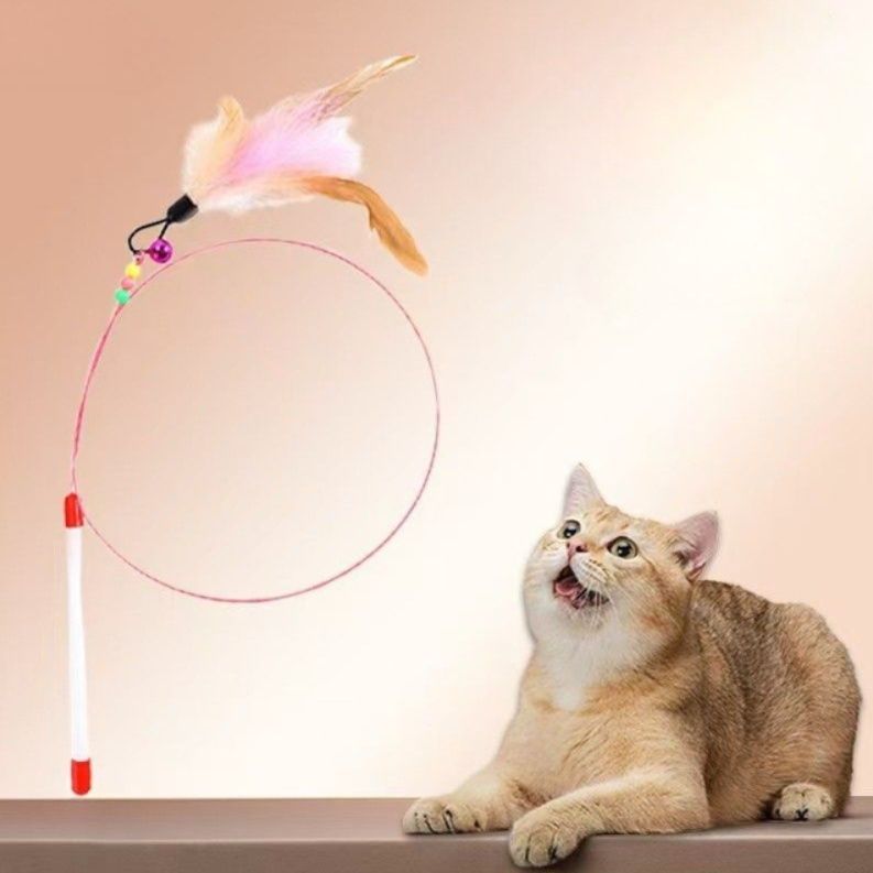 https://fulmo-img-server.com/party-cat/1787710515953_tbuwfgby_ut1mwgii.jpeg