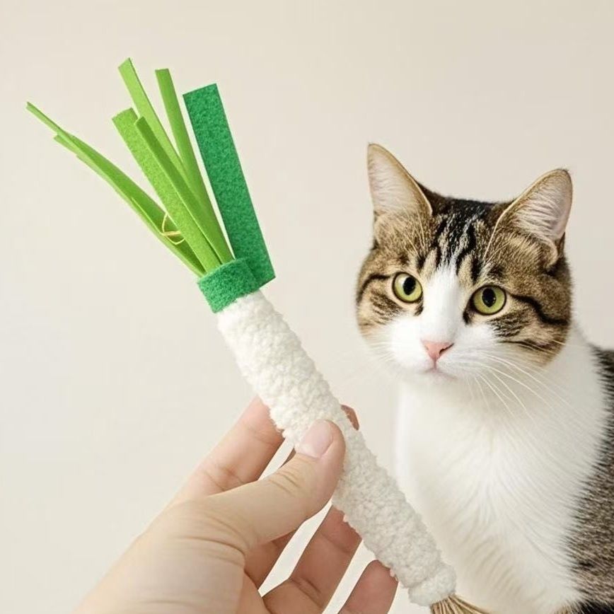 https://fulmo-img-server.com/party-cat/1790734341141_xv2xlg5m_nre5u5ut.jpeg