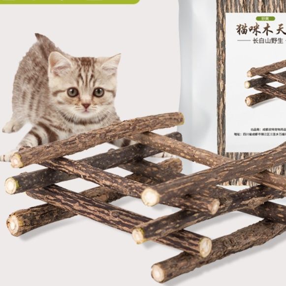 https://fulmo-img-server.com/party-cat/1790735069828_czqlwgll_o8p3ls86.jpeg