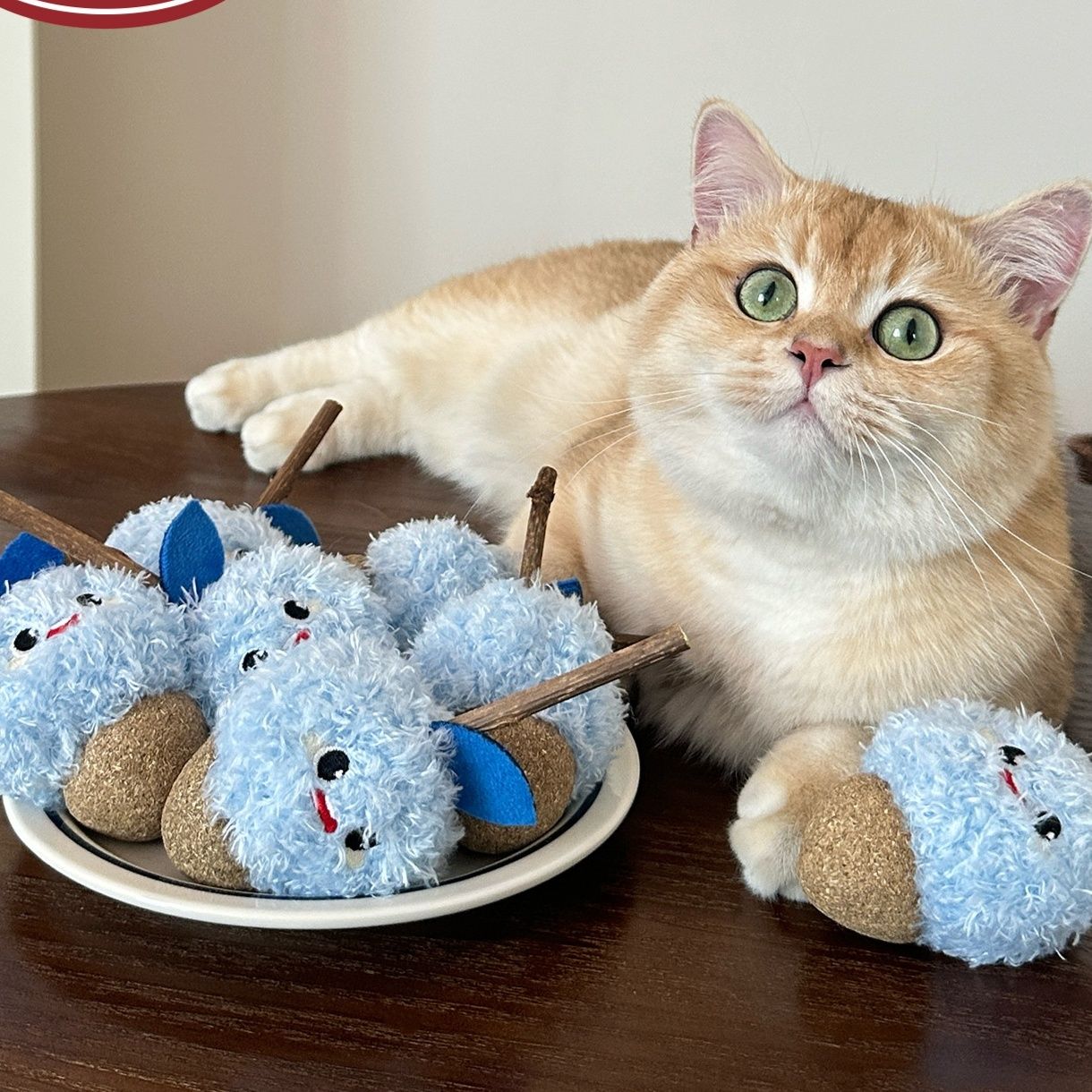 https://fulmo-img-server.com/party-cat/1790735964974_f6o6grmk_vn726ess.jpeg
