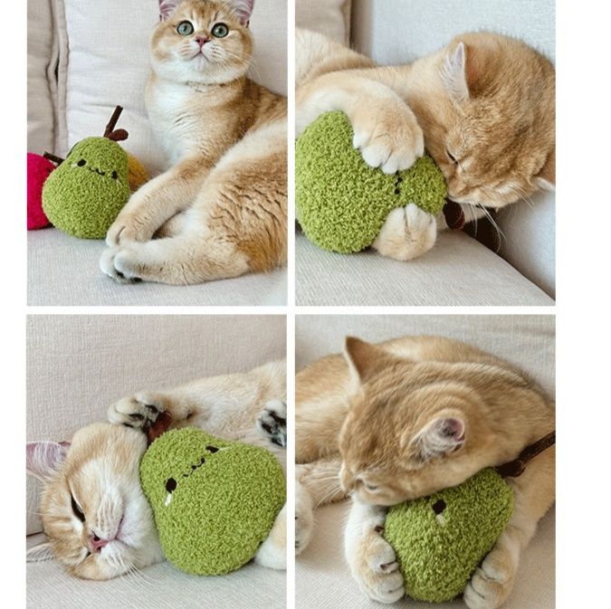 https://fulmo-img-server.com/party-cat/1790736684710_w2ipv7bg_muu1p2pp.jpeg