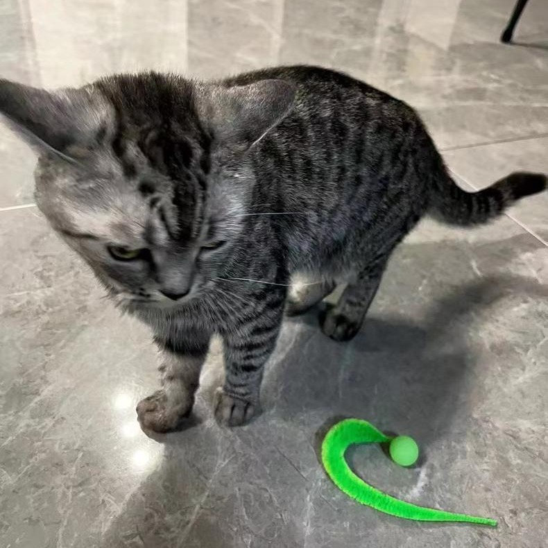 猫 おもちゃ くねくね紐付きボール玉　猫じゃらし