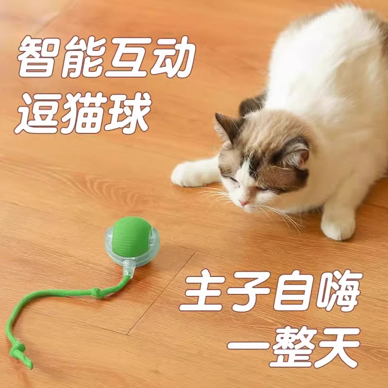 猫 おもちゃ 猫の本能を刺激する画期的な知育玩具