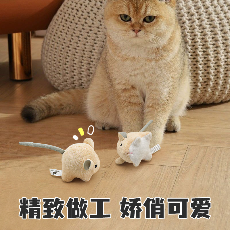 https://fulmo-img-server.com/party-cat/1a00b378-66f6-4406-80ed-ac57fd8e9fd0.jpg