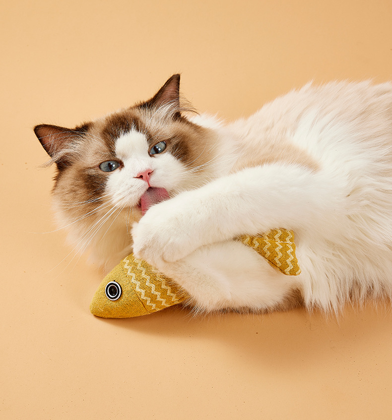 https://fulmo-img-server.com/party-cat/240cfd5e-4fc3-4e7d-9859-213b759f893f.jpg