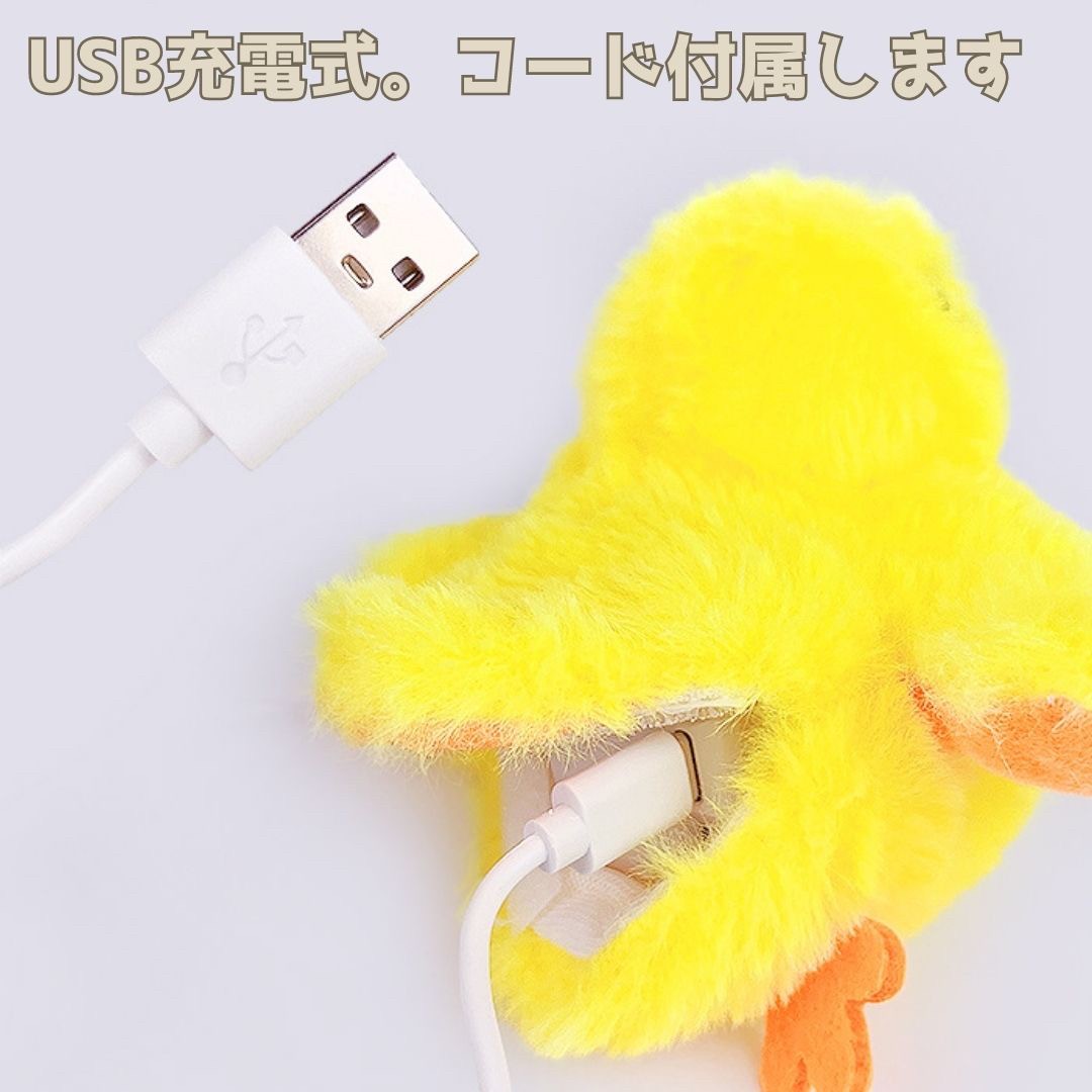 https://fulmo-img-server.com/party-cat/361c3ef9-0ca0-4326-b699-3fe362ea0085.jpg