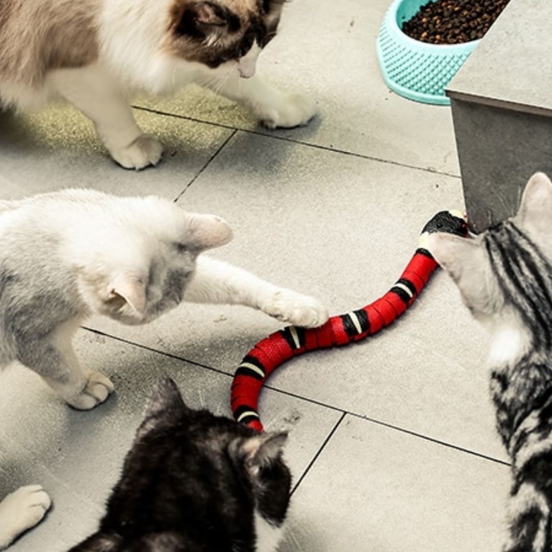 猫 おもちゃ 電動ヘビ型猫じゃらし 珊瑚蛇モチーフ 自動で動く猫用玩具