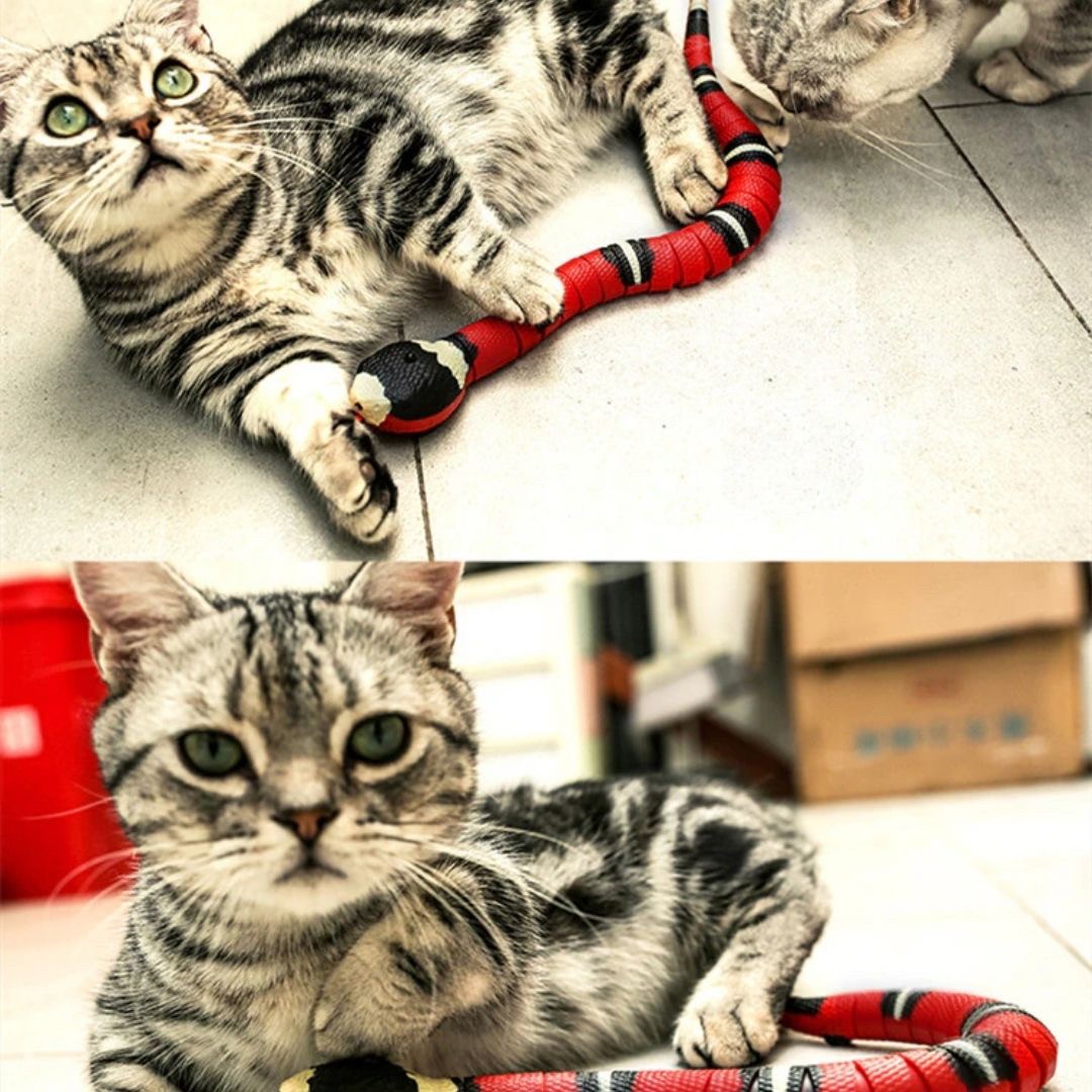 猫 おもちゃ 電動ヘビ型猫じゃらし 珊瑚蛇モチーフ 自動で動く猫用玩具