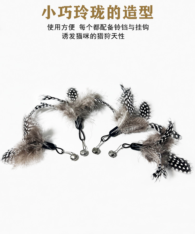 https://fulmo-img-server.com/party-cat/3abfc2a8-584c-476d-8852-b2d4effe68fe.jpg