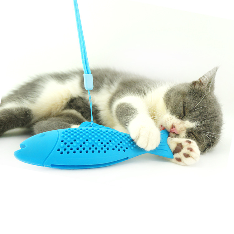 https://fulmo-img-server.com/party-cat/3b727221-7153-4af6-b79a-7ac780c9bedd.jpg