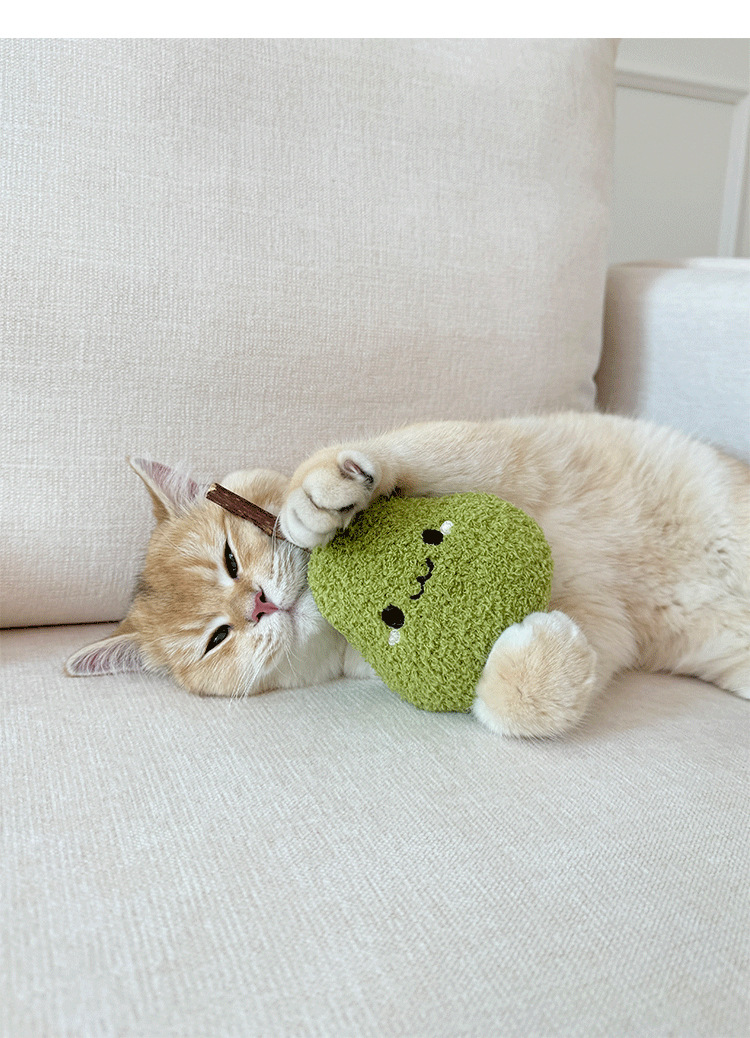 https://fulmo-img-server.com/party-cat/3be39636-6323-4626-8d6c-e3a00e422723.jpg