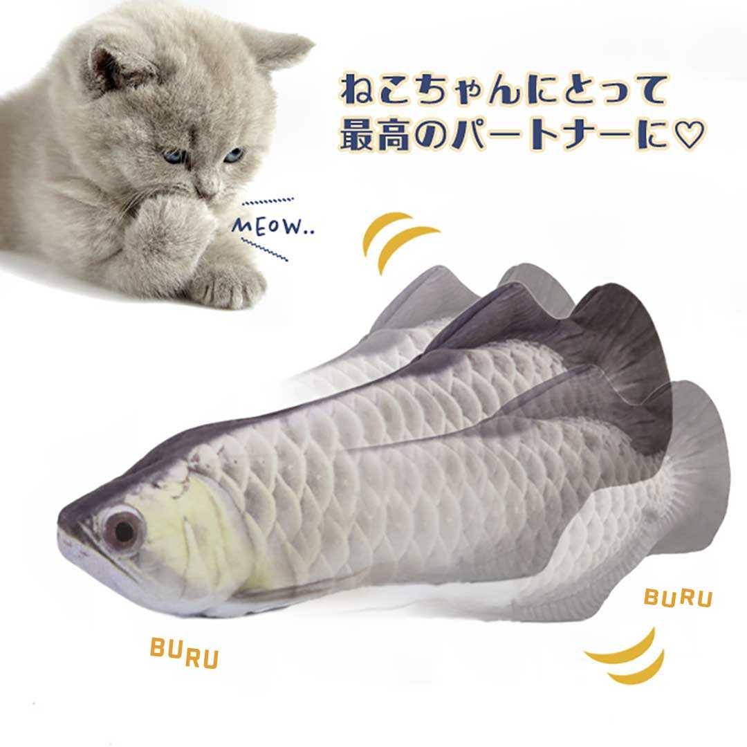 https://fulmo-img-server.com/party-cat/3e1f05b7-e181-45d8-a8c9-f6c7cf439737.jpg