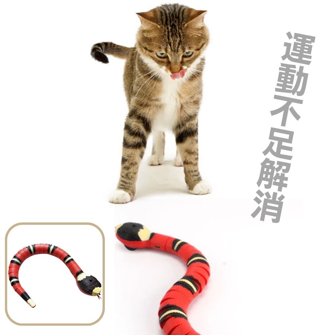 猫 おもちゃ 電動ヘビ型猫じゃらし 珊瑚蛇モチーフ 自動で動く猫用玩具