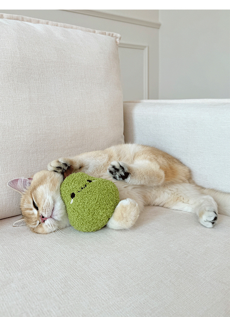 https://fulmo-img-server.com/party-cat/44770aa8-894c-44b1-a92d-5f2d56ec6ec8.jpg