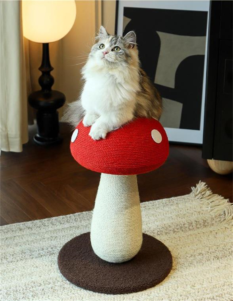 https://fulmo-img-server.com/party-cat/476b9409-2740-431c-a899-8aec5b630a8f.jpg
