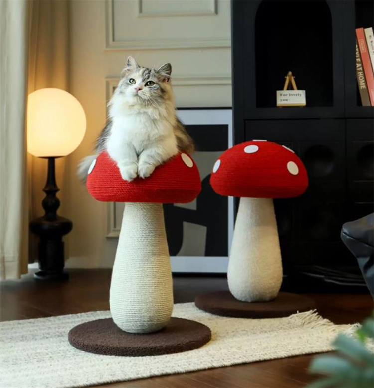 https://fulmo-img-server.com/party-cat/4cb0c084-72b6-43b8-b965-45b8dd9fe163.jpg