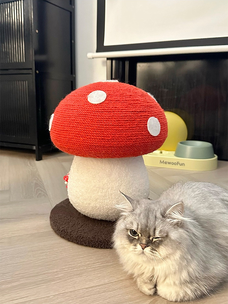 https://fulmo-img-server.com/party-cat/54ea2396-1035-4be8-9125-83b318721e03.jpg