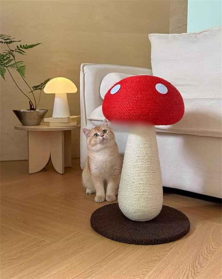 https://fulmo-img-server.com/party-cat/5611cf8f-ac1f-46b6-85b8-dbe461cb1a49.jpg