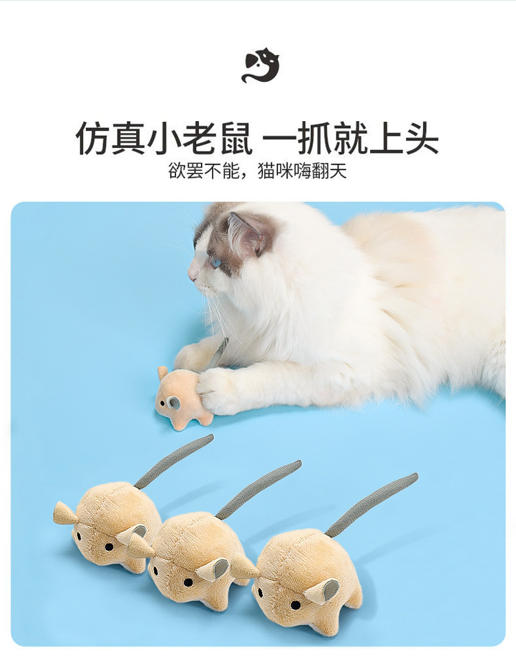 https://fulmo-img-server.com/party-cat/5dd9da8e-e0a1-44e4-96a9-70a083060692.jpg