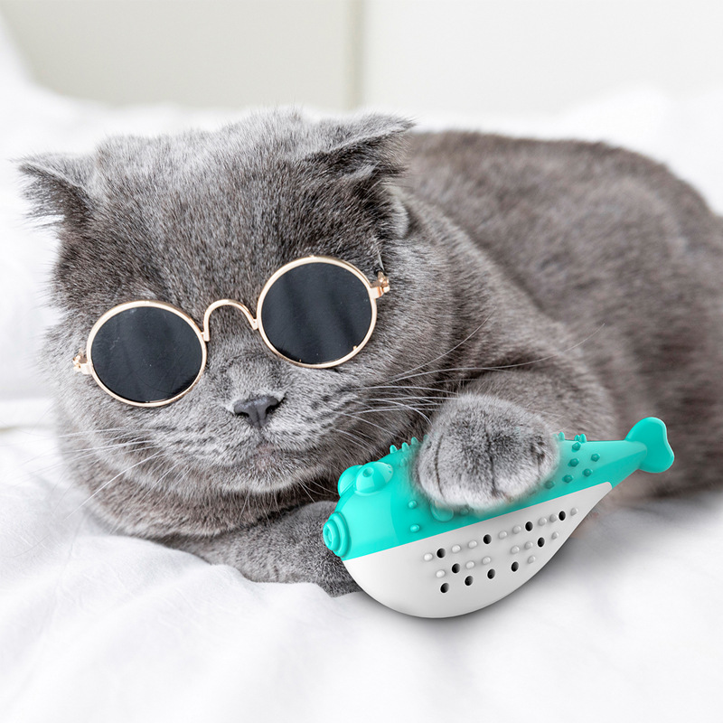 https://fulmo-img-server.com/party-cat/6a5c0344-0419-42cf-962f-a30ef76707e7.jpg