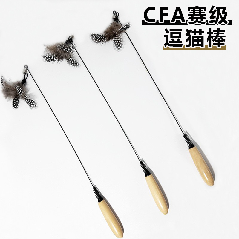https://fulmo-img-server.com/party-cat/7725552c-0873-4f97-b544-da7b7a717fb5.jpg