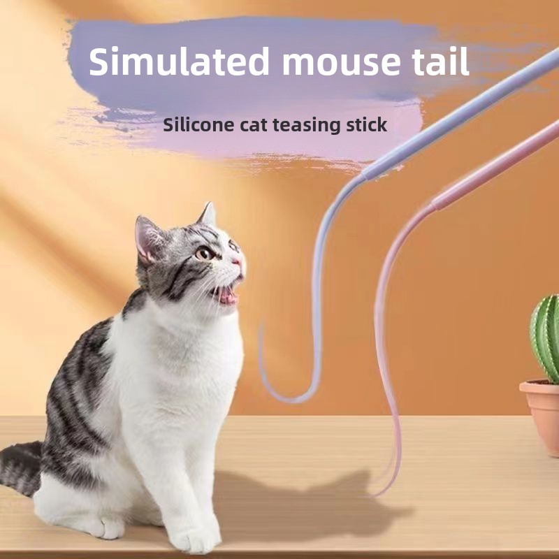 https://fulmo-img-server.com/party-cat/783bda11-15d4-4dcd-a1ff-4cb8ed433acc.jpg