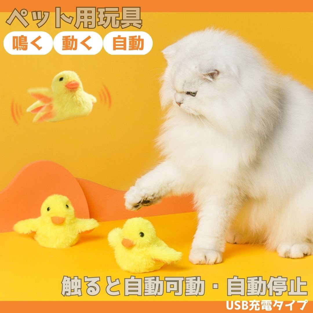 https://fulmo-img-server.com/party-cat/7a1d5b5c-a548-4817-be29-c0e79ebeb4b0.jpg
