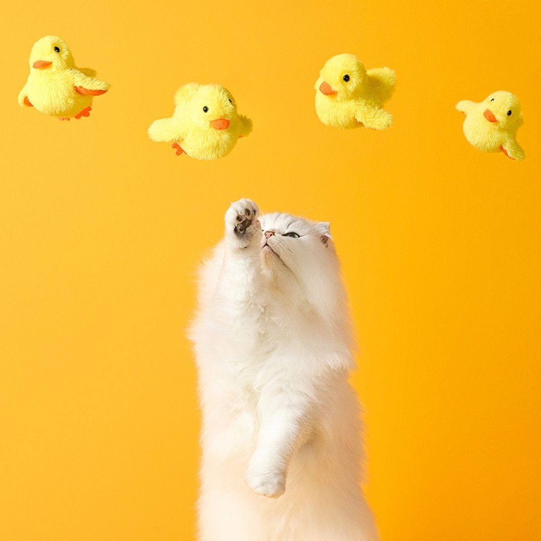https://fulmo-img-server.com/party-cat/90b6c249-8dd3-4177-bc9d-1462d4dea7eb.jpg