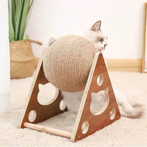 https://fulmo-img-server.com/party-cat/911ad469-e0c5-4fbb-b236-49683fa1df8a.jpg
