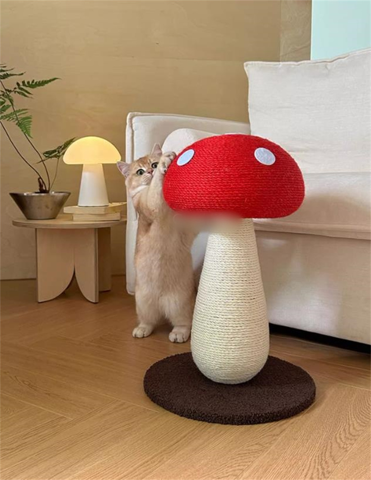https://fulmo-img-server.com/party-cat/95445795-eaca-4050-9fd8-0ee77c745e2a.jpg