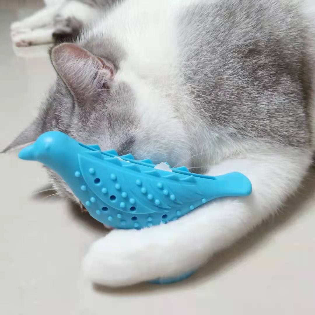 https://fulmo-img-server.com/party-cat/986d6c76-0291-4cfa-b1d7-fe01caa9e589.jpg