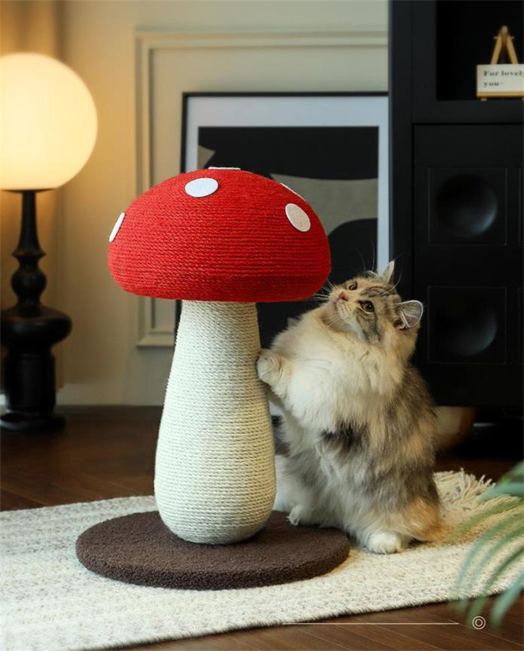 https://fulmo-img-server.com/party-cat/995f2ef2-83c1-476d-841a-50a339679532.jpg