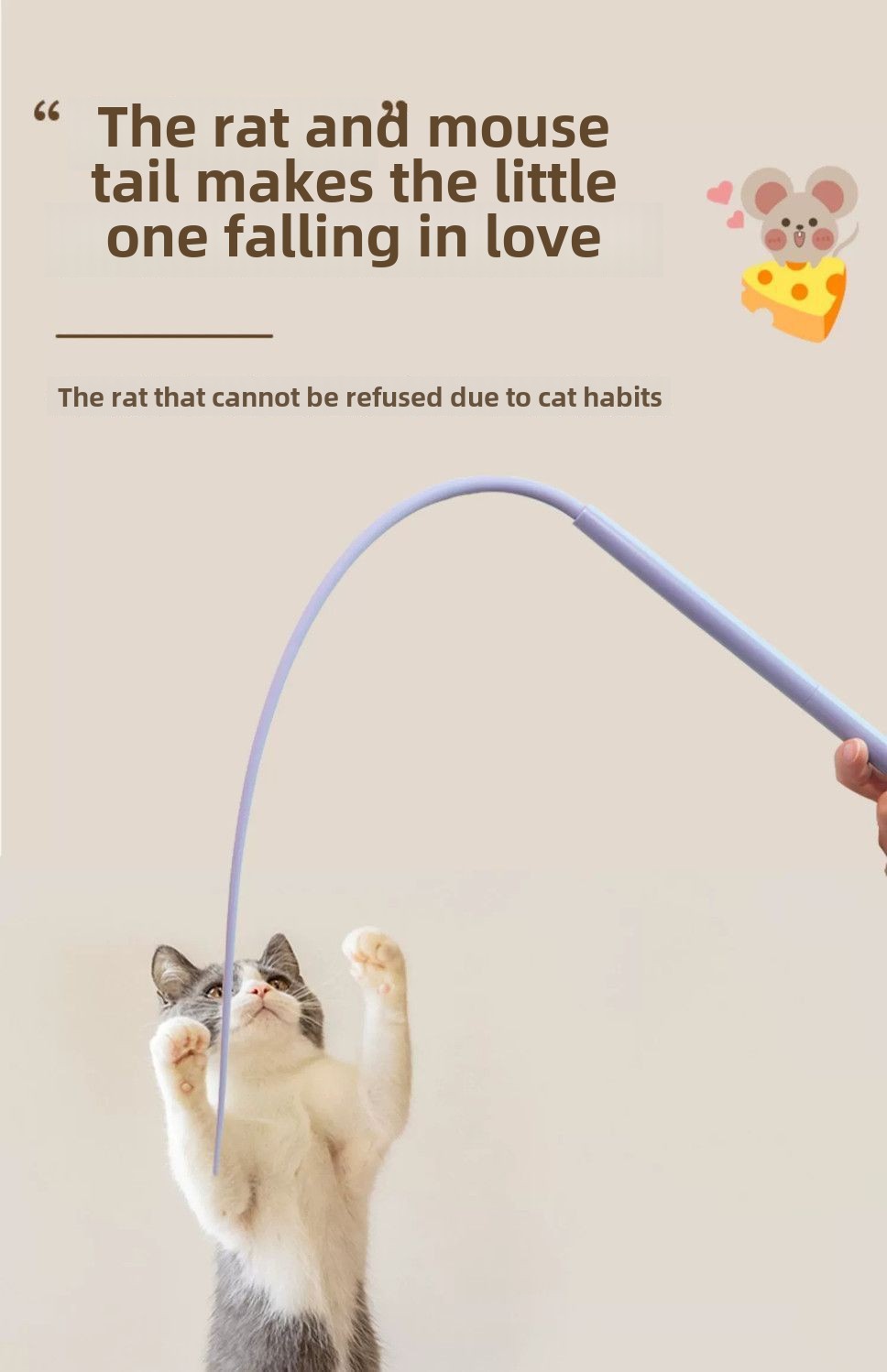 https://fulmo-img-server.com/party-cat/9dda182e-c8e9-4813-9fd2-59624475dc59.jpg