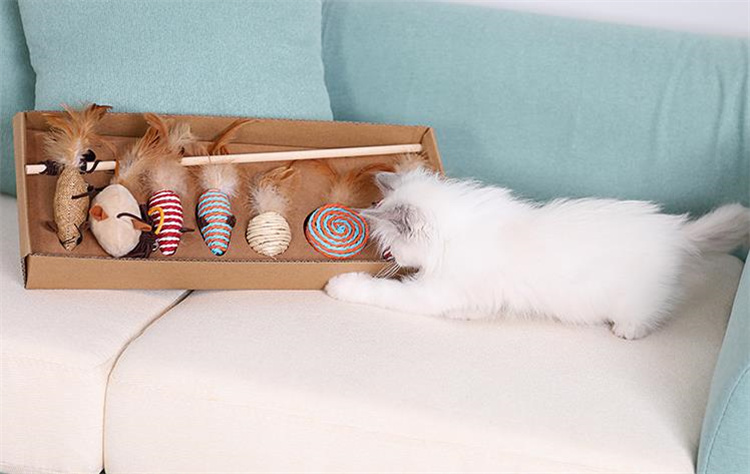 https://fulmo-img-server.com/party-cat/a04f41aa-9bbc-4684-99c3-bad677a07301.jpg