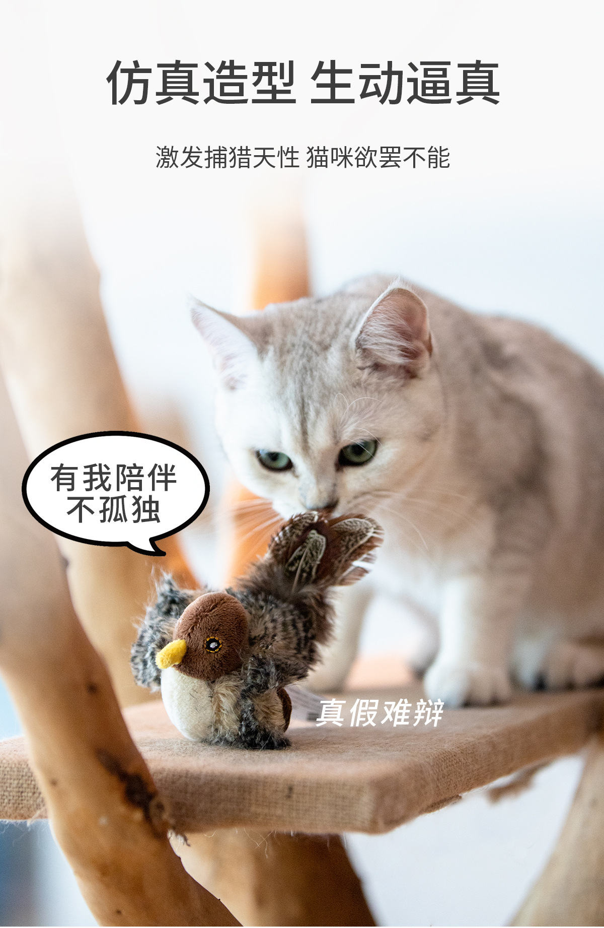 https://fulmo-img-server.com/party-cat/a25087ea-5c9d-4f57-839b-6fd2ade49e74.jpg