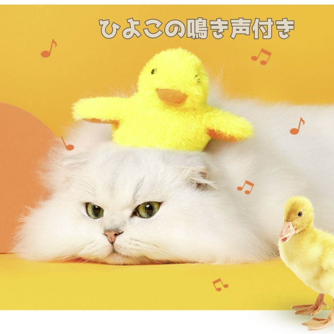 https://fulmo-img-server.com/party-cat/a2c9c702-54be-45d2-86b1-9eb5bbebe706.jpg