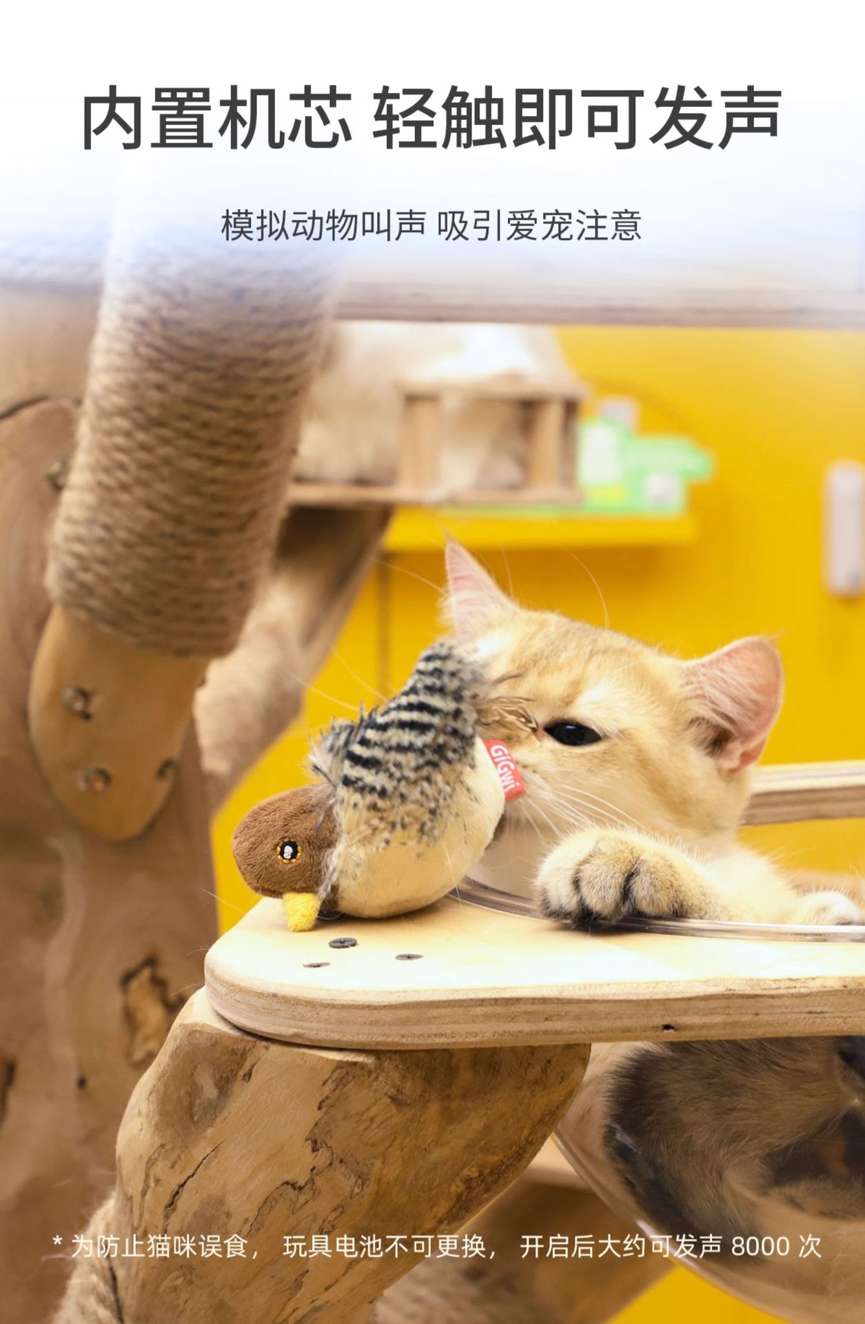 https://fulmo-img-server.com/party-cat/af662e83-1d67-4e21-9a31-9ba706adb642.jpg