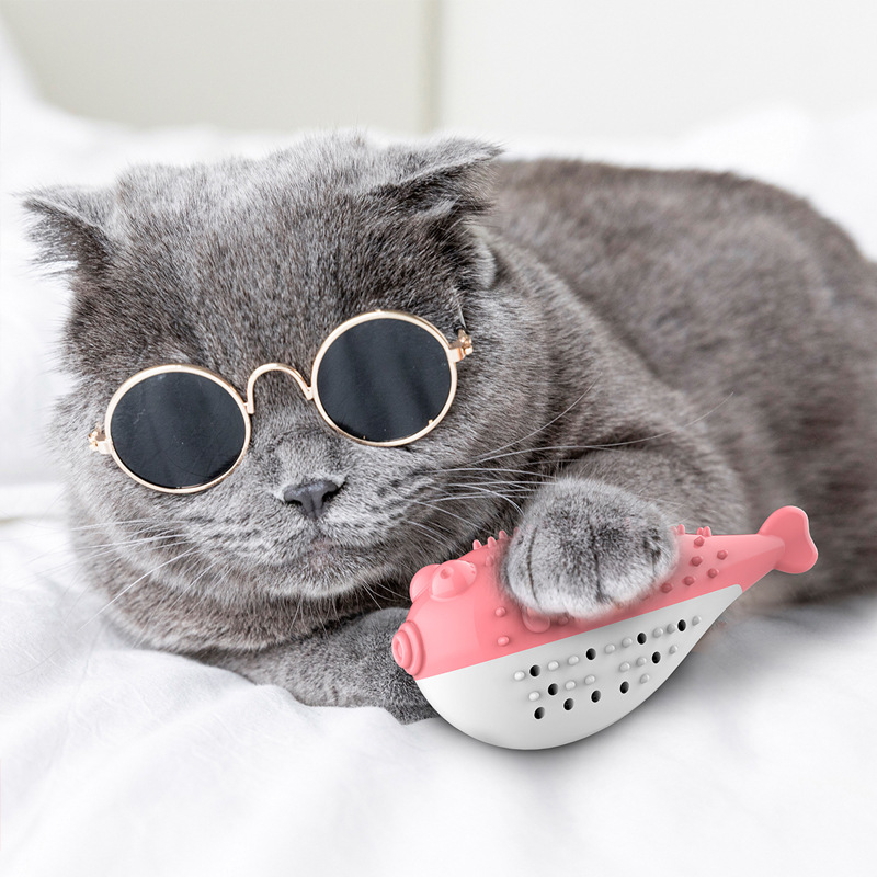 https://fulmo-img-server.com/party-cat/aff86013-1b1d-48ad-927e-09a5c37c4833.jpg