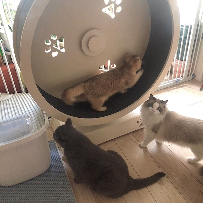 猫 おもちゃ 猫用回転式ホイールランニングマシン　運動不足解消グッズ