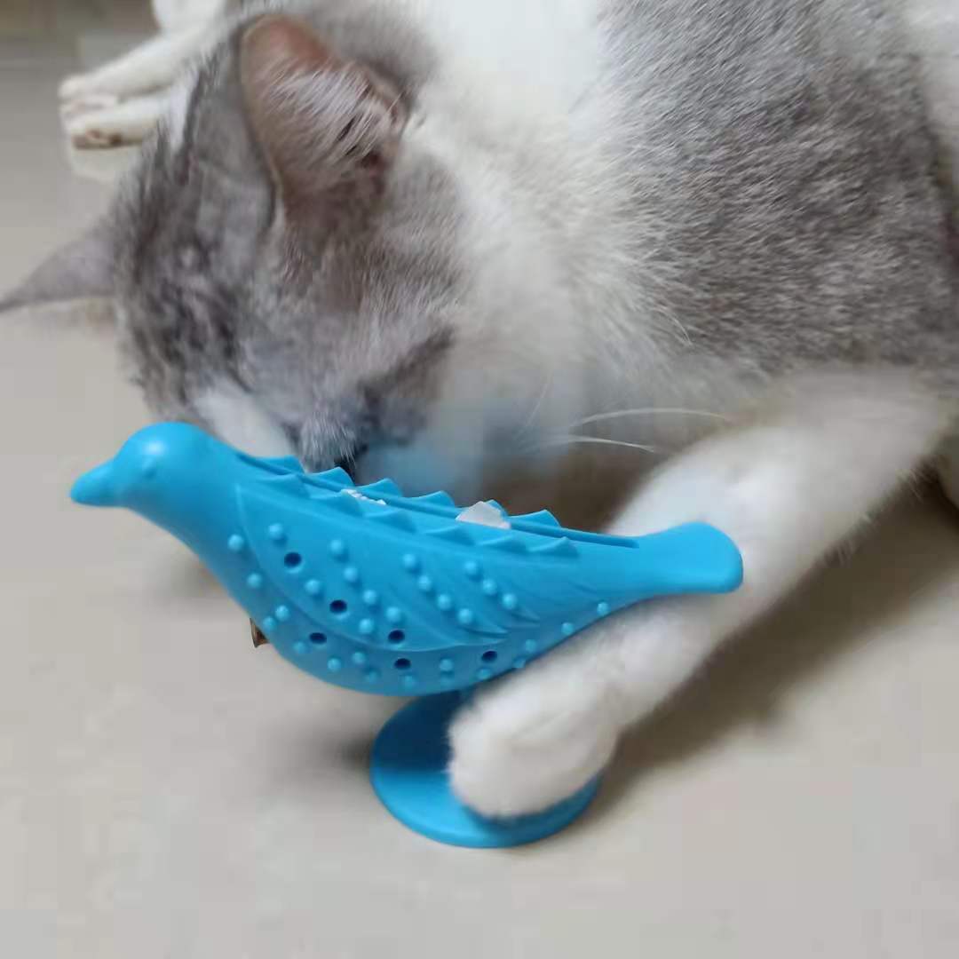 https://fulmo-img-server.com/party-cat/bada3b75-48a8-43ca-80ea-2f1bf75a991a.jpg